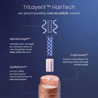 Diagram of TriLayerX™ HairTech and how it works with text on a blue background