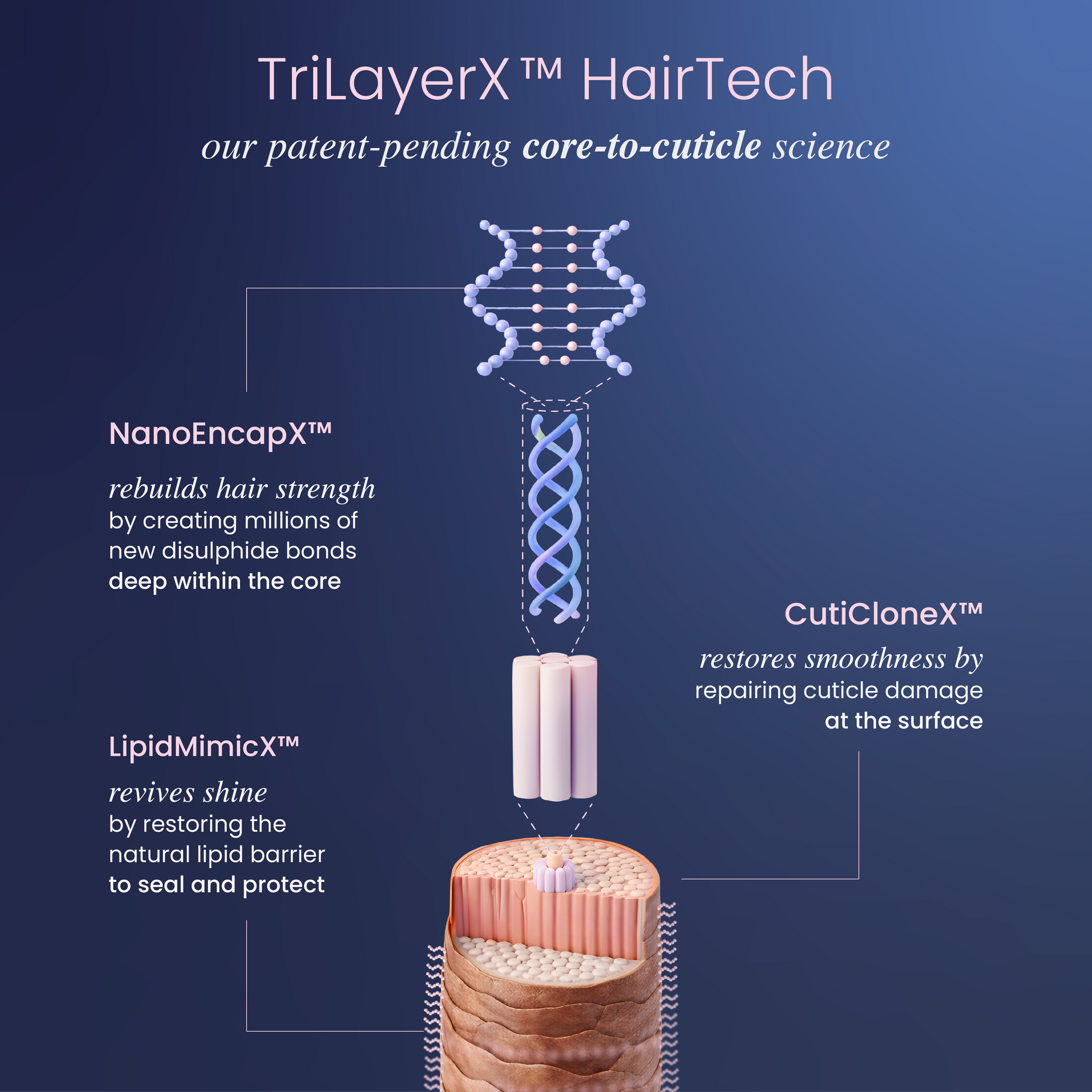 the ultimate hair revival system – Xtovia